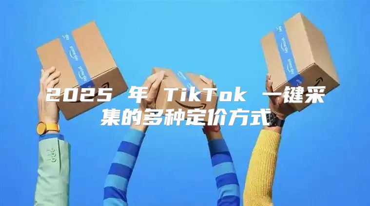 2025 年 TikTok 一键采集的多种定价方式