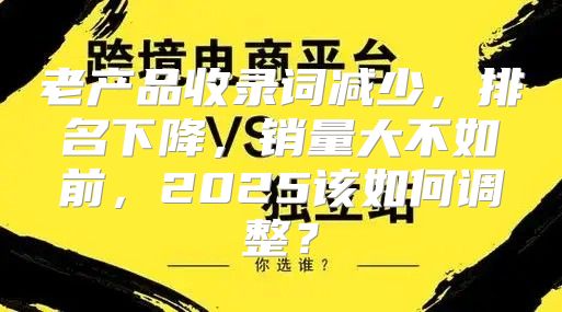 老产品收录词减少，排名下降，销量大不如前，2025该如何调整？