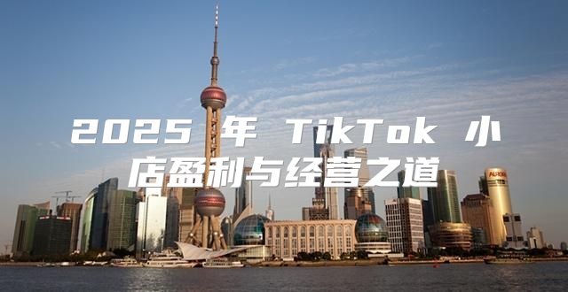 2025 年 TikTok 小店盈利与经营之道