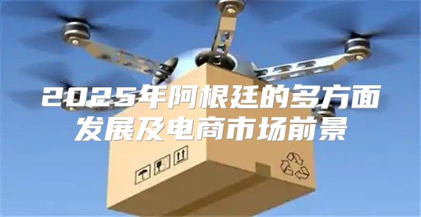2025年阿根廷的多方面发展及电商市场前景