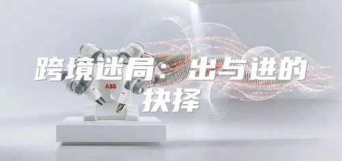 跨境迷局：出与进的抉择
