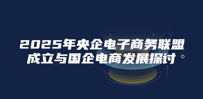 2025年央企电子商务联盟成立与国企电商发展探讨