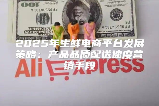 2025年生鲜电商平台发展策略：产品品质配送速度营销手段