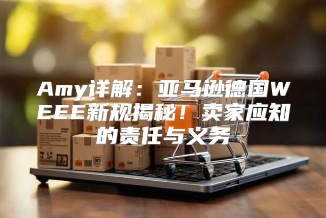 Amy详解：亚马逊德国WEEE新规揭秘！卖家应知的责任与义务