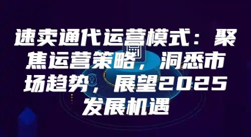 速卖通代运营模式：聚焦运营策略，洞悉市场趋势，展望2025发展机遇