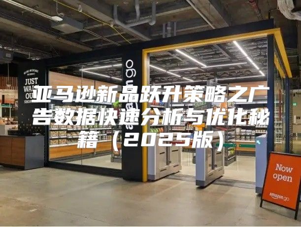 亚马逊新品跃升策略之广告数据快速分析与优化秘籍2025版