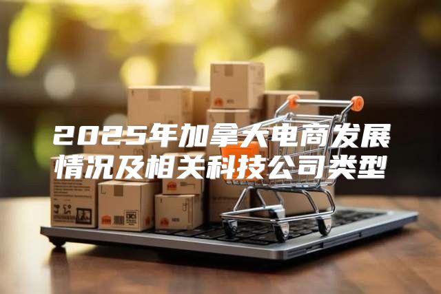 2025年加拿大电商发展情况及相关科技公司类型
