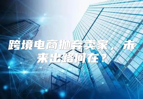 跨境电商抛弃卖家，未来出路何在？