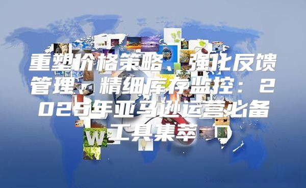 重塑价格策略、强化反馈管理、精细库存监控：2025年亚马逊运营必备工具集萃
