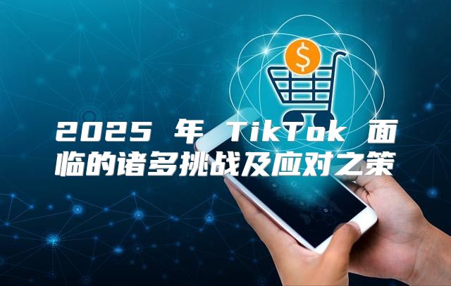 2025 年 TikTok 面临的诸多挑战及应对之策