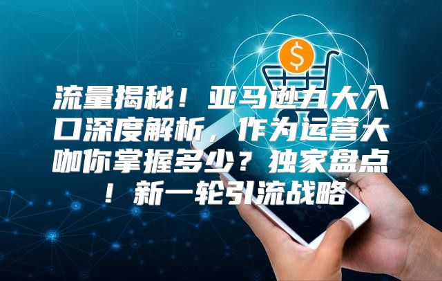 流量揭秘！亚马逊九大入口深度解析，作为运营大咖你掌握多少？独家盘点！新一轮引流战略