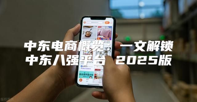 中东电商概览：一文解锁中东八强平台 2025版