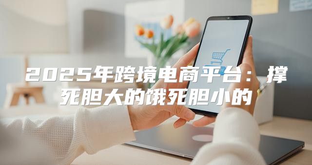 2025年跨境电商平台：撑死胆大的饿死胆小的
