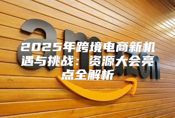2025年跨境电商新机遇与挑战：资源大会亮点全解析