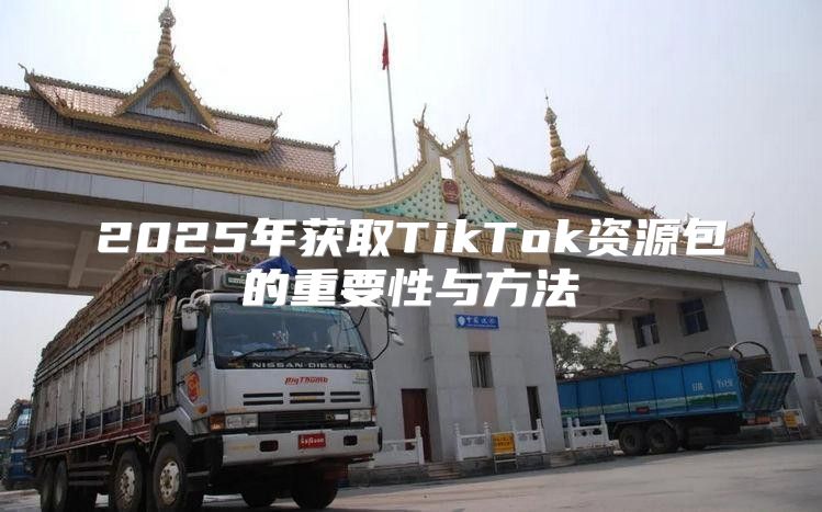 2025年获取TikTok资源包的重要性与方法