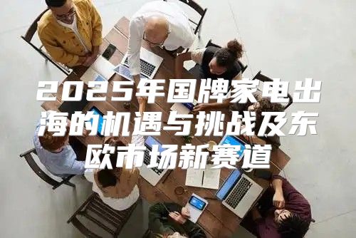 2025年国牌家电出海的机遇与挑战及东欧市场新赛道
