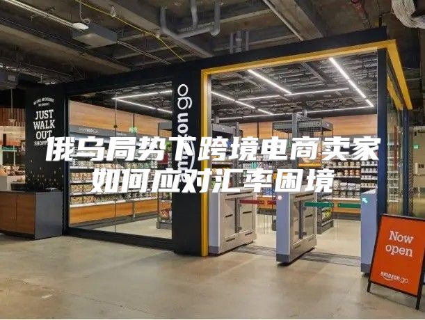 俄乌局势下跨境电商卖家如何应对汇率困境