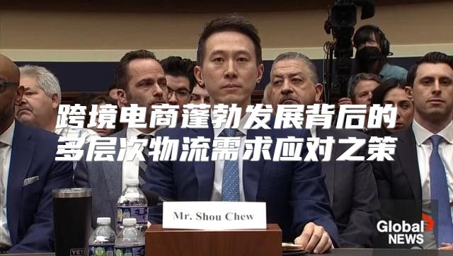 跨境电商蓬勃发展背后的多层次物流需求应对之策