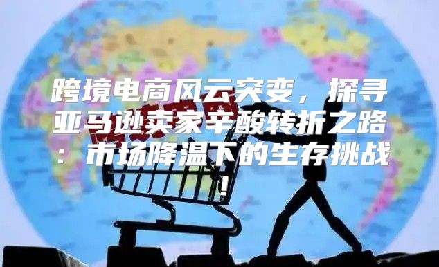 跨境电商风云突变，探寻亚马逊卖家辛酸转折之路：市场降温下的生存挑战！