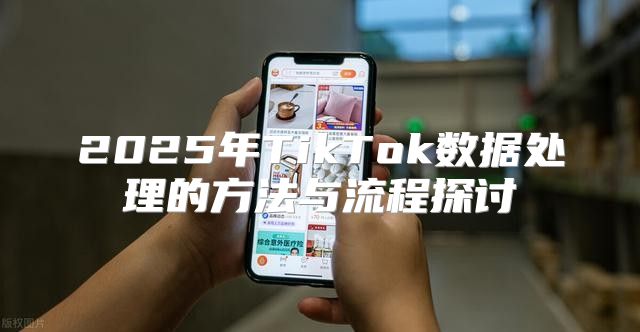 2025年TikTok数据处理的方法与流程探讨