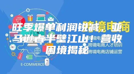 旺季爆单利润锐减，亚马逊占半壁江山！营收困境揭秘