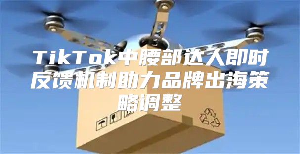 TikTok中腰部达人即时反馈机制助力品牌出海策略调整