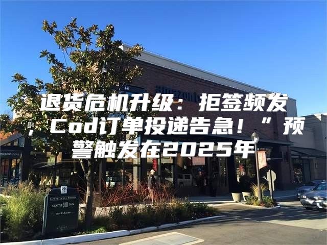 退货危机升级：拒签频发，Cod订单投递告急！”预警触发在2025年
