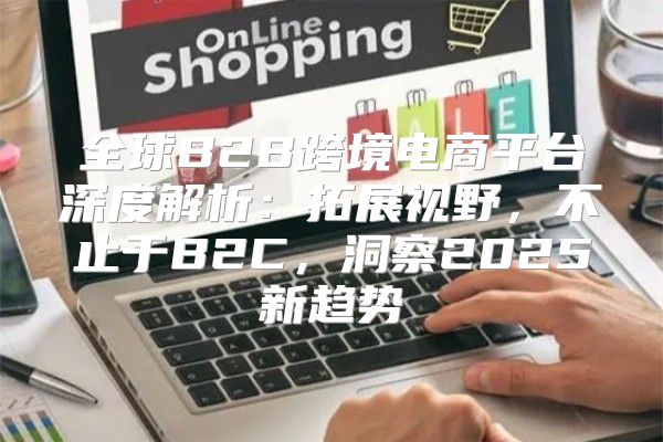 全球B2B跨境电商平台深度解析：拓展视野，不止于B2C，洞察2025新趋势