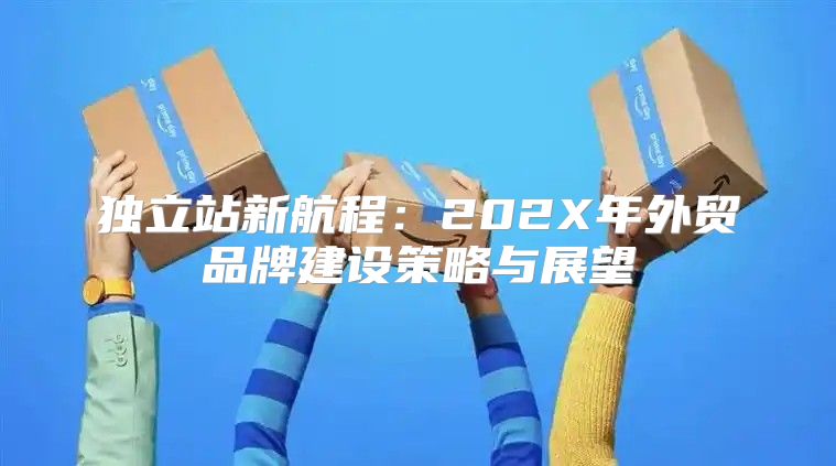 独立站新航程：202X年外贸品牌建设策略与展望