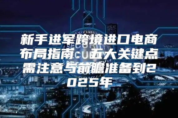 新手进军跨境进口电商布局指南：五大关键点需注意与前瞻准备到2025年