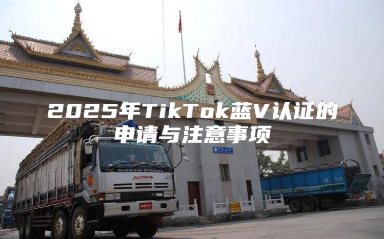 2025年TikTok蓝V认证的申请与注意事项