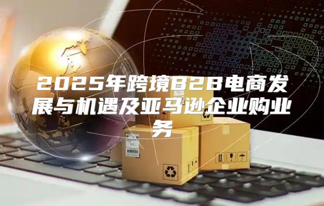 2025年跨境B2B电商发展与机遇及亚马逊企业购业务