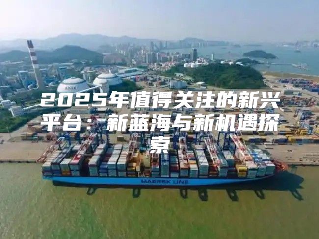 2025年值得关注的新兴平台：新蓝海与新机遇探索