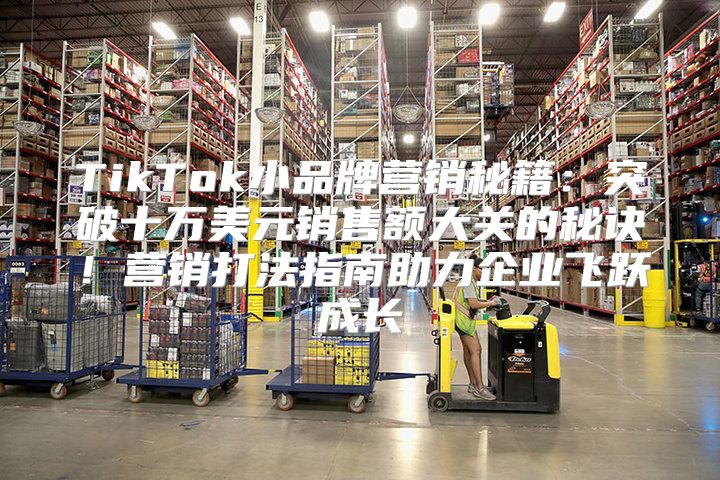 TikTok小品牌营销秘籍：突破十万美元销售额大关的秘诀！营销打法指南助力企业飞跃成长