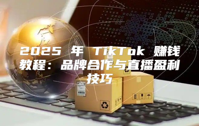 2025 年 TikTok 赚钱教程：品牌合作与直播盈利技巧