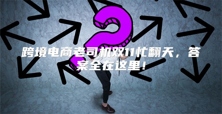 跨境电商老司机双11忙翻天，答案全在这里！