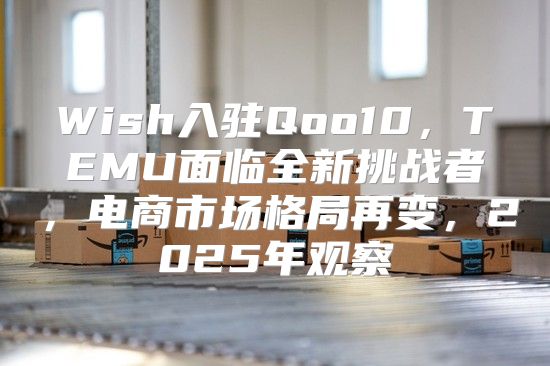 Wish入驻Qoo10，TEMU面临全新挑战者，电商市场格局再变，2025年观察