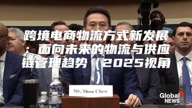 跨境电商物流方式新发展：面向未来的物流与供应链管理趋势2025视角