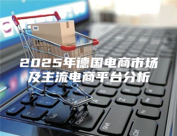 2025年德国电商市场及主流电商平台分析