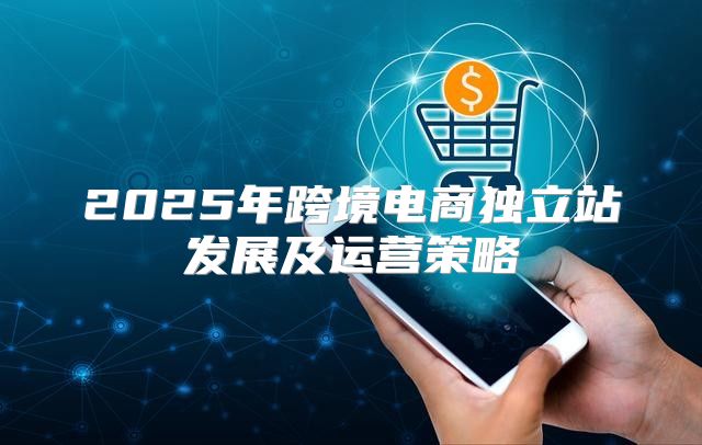 2025年跨境电商独立站发展及运营策略