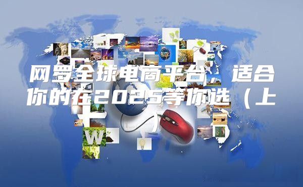 网罗全球电商平台，适合你的在2025等你选上