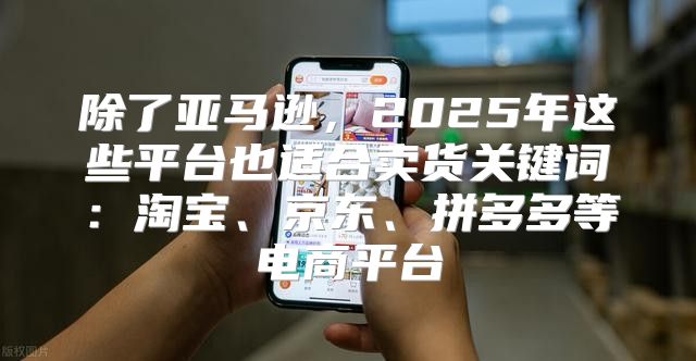 除了亚马逊，2025年这些平台也适合卖货关键词：淘宝、京东、拼多多等电商平台