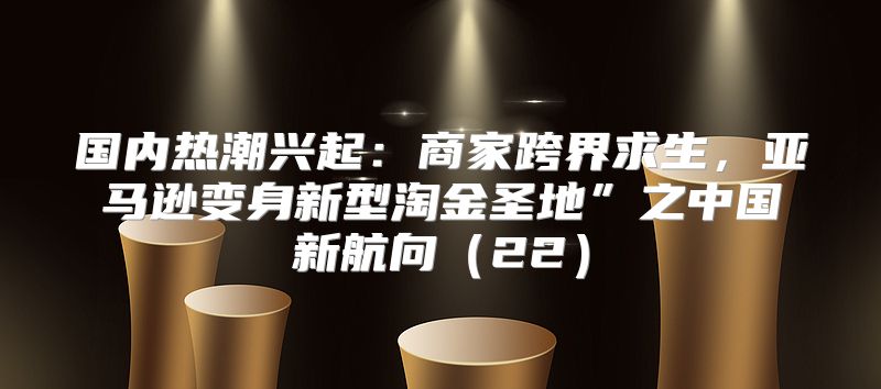 国内热潮兴起：商家跨界求生，亚马逊变身新型淘金圣地”之中国新航向22