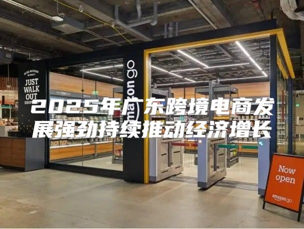 2025年广东跨境电商发展强劲持续推动经济增长