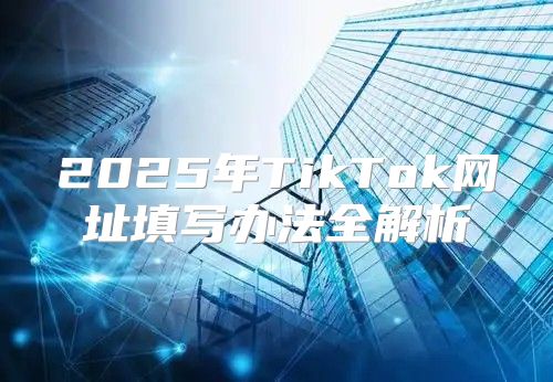 2025年TikTok网址填写办法全解析