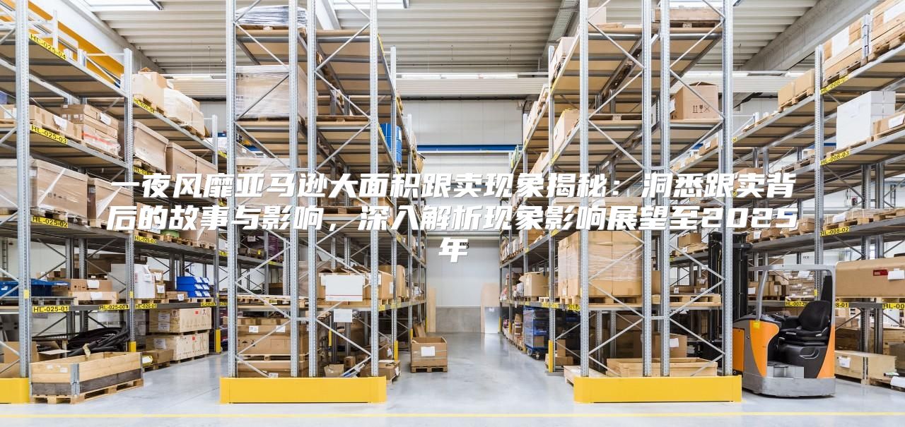 一夜风靡亚马逊大面积跟卖现象揭秘：洞悉跟卖背后的故事与影响，深入解析现象影响展望至2025年