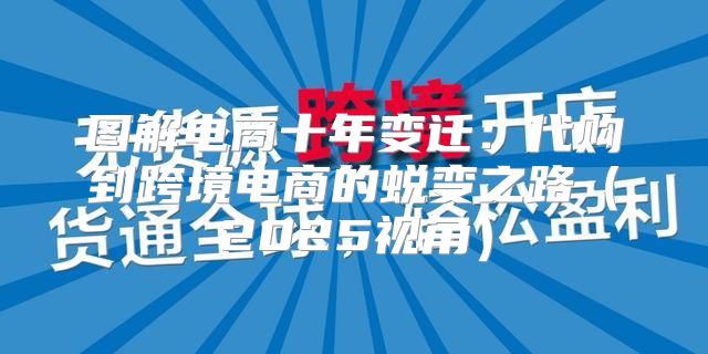 图解电商十年变迁：代购到跨境电商的蜕变之路2025视角