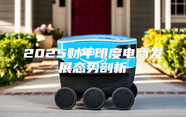 2025财年印度电商发展态势剖析