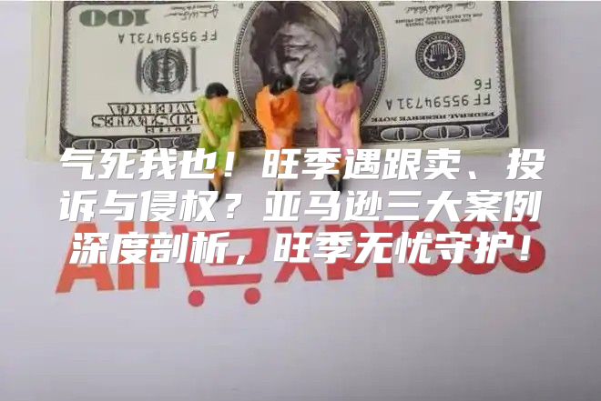 气死我也！旺季遇跟卖、投诉与侵权？亚马逊三大案例深度剖析，旺季无忧守护！