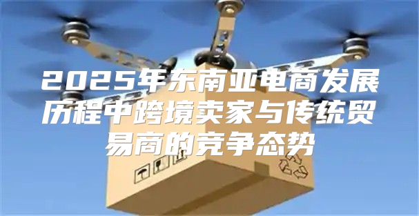2025年东南亚电商发展历程中跨境卖家与传统贸易商的竞争态势